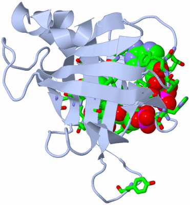 Image Biol. Unit 1 - sites