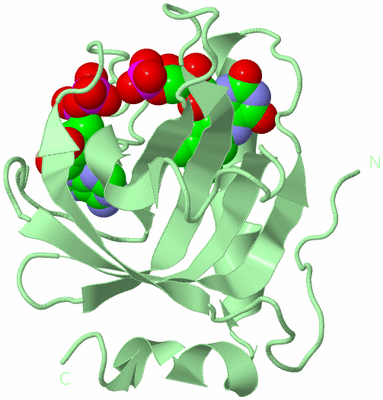 Image Biological Unit 2