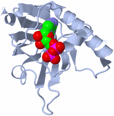 Image Biological Unit 1