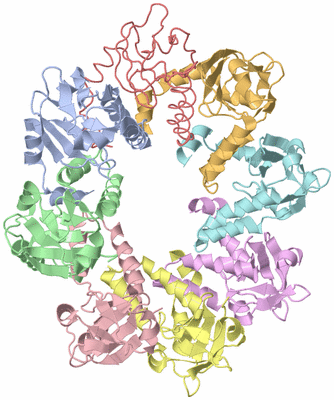 Image Asym./Biol. Unit