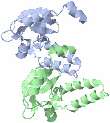 Image Asymmetric Unit