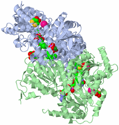 Image Asym./Biol. Unit