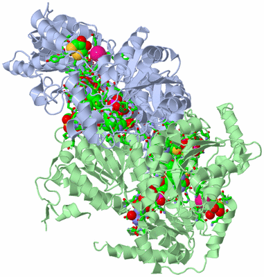 Image Asym./Biol. Unit - sites