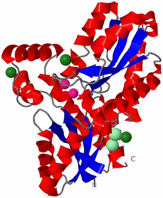 Image Asym./Biol. Unit