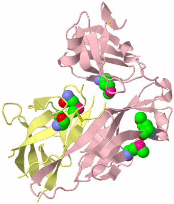 Image Biological Unit 2