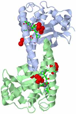 Image Asym. Unit - sites