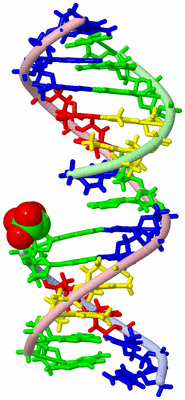 Image NMR Structure - model 1