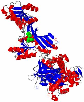 Image Asym./Biol. Unit