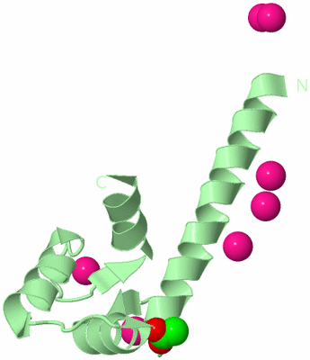 Image Biological Unit 2