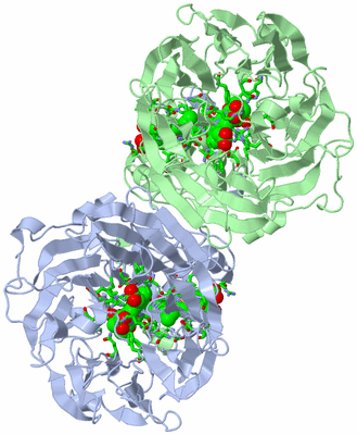 Image Asym./Biol. Unit - sites