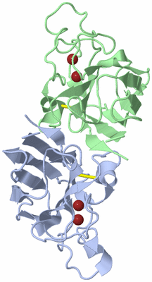 Image Biological Unit 1