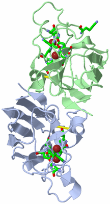 Image Biol. Unit 1 - sites