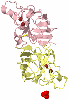 Image Biological Unit 2