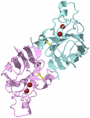 Image Biological Unit 3