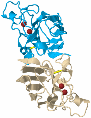 Image Biological Unit 5