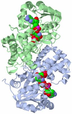 Image Asym./Biol. Unit