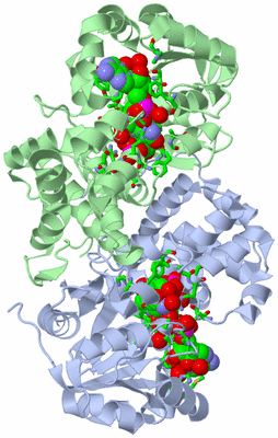 Image Asym./Biol. Unit - sites