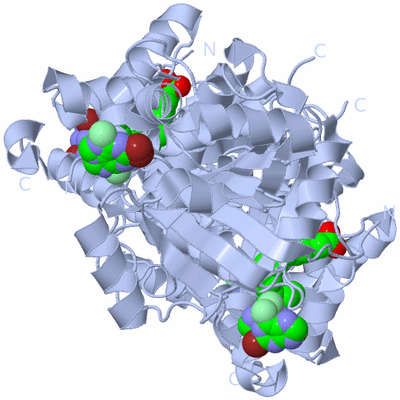 Image Biological Unit 1