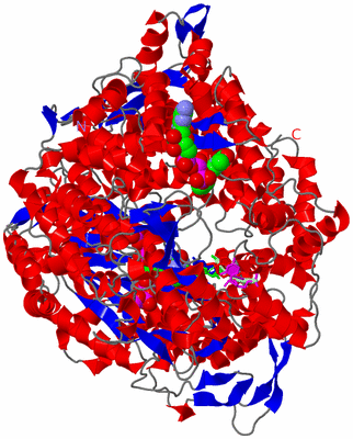 Image Asym./Biol. Unit