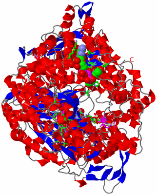 Image Asym./Biol. Unit - sites