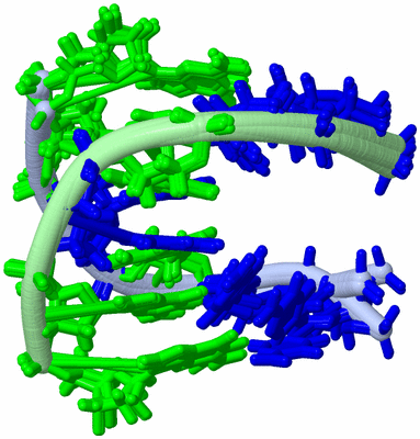 Image NMR Structure - all models