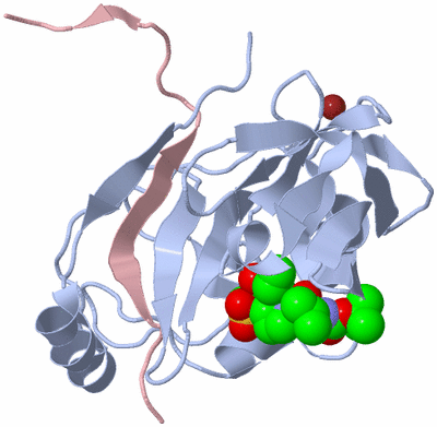 Image Biological Unit 1