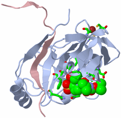 Image Biol. Unit 1 - sites