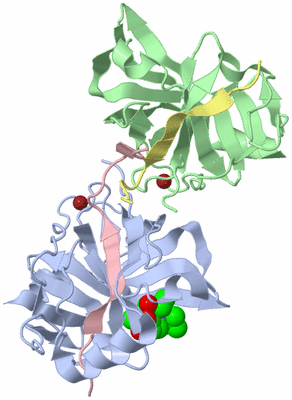 Image Biological Unit 3