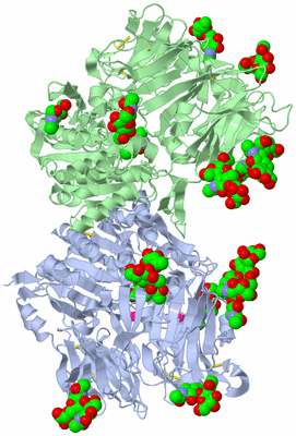 Image Asym./Biol. Unit