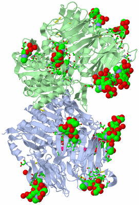 Image Asym./Biol. Unit - sites