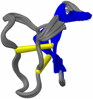 Image NMR Structure - all models