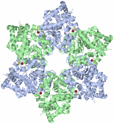 Image Biological Unit 1