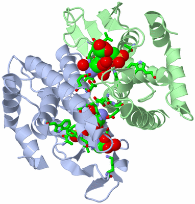 Image Asym./Biol. Unit - sites