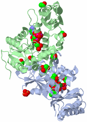 Image Asym./Biol. Unit