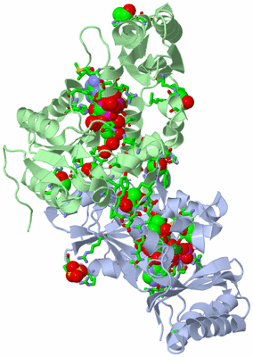 Image Asym./Biol. Unit - sites