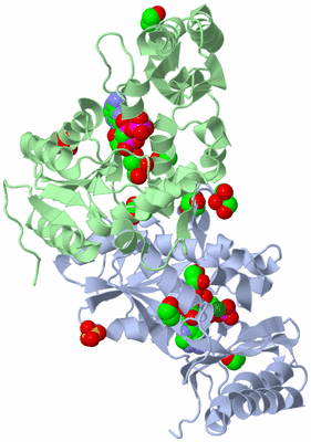 Image Asym./Biol. Unit