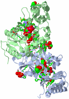 Image Asym./Biol. Unit - sites