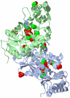 Image Asym./Biol. Unit