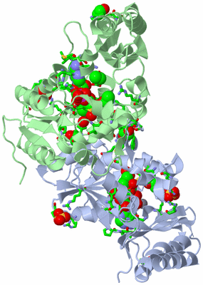 Image Asym./Biol. Unit - sites