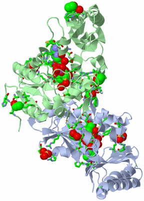 Image Asym./Biol. Unit - sites