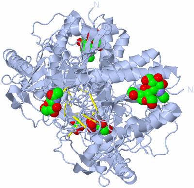 Image Biological Unit 1