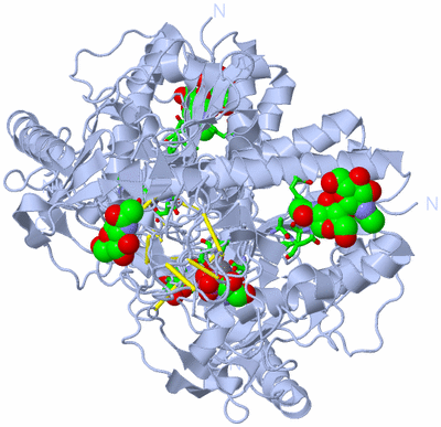 Image Biol. Unit 1 - sites