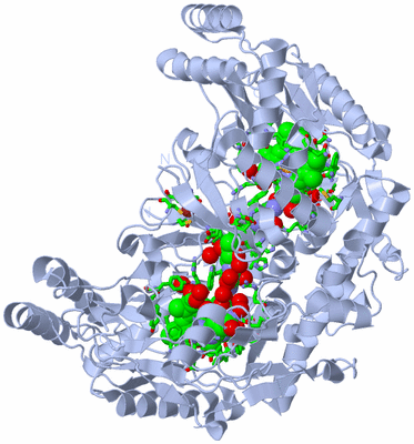 Image Biol. Unit 1 - sites