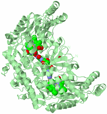 Image Biological Unit 2