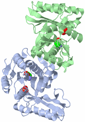 Image Asym./Biol. Unit