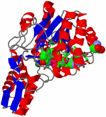 Image Asym. Unit - sites