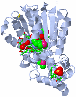 Image Biol. Unit 1 - sites