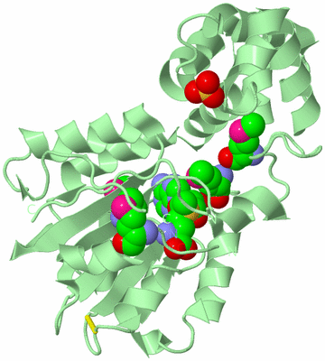 Image Biological Unit 2