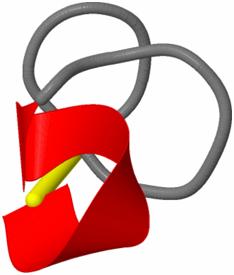 Image NMR Structure - model 1