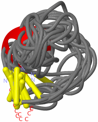 Image NMR Structure - all models